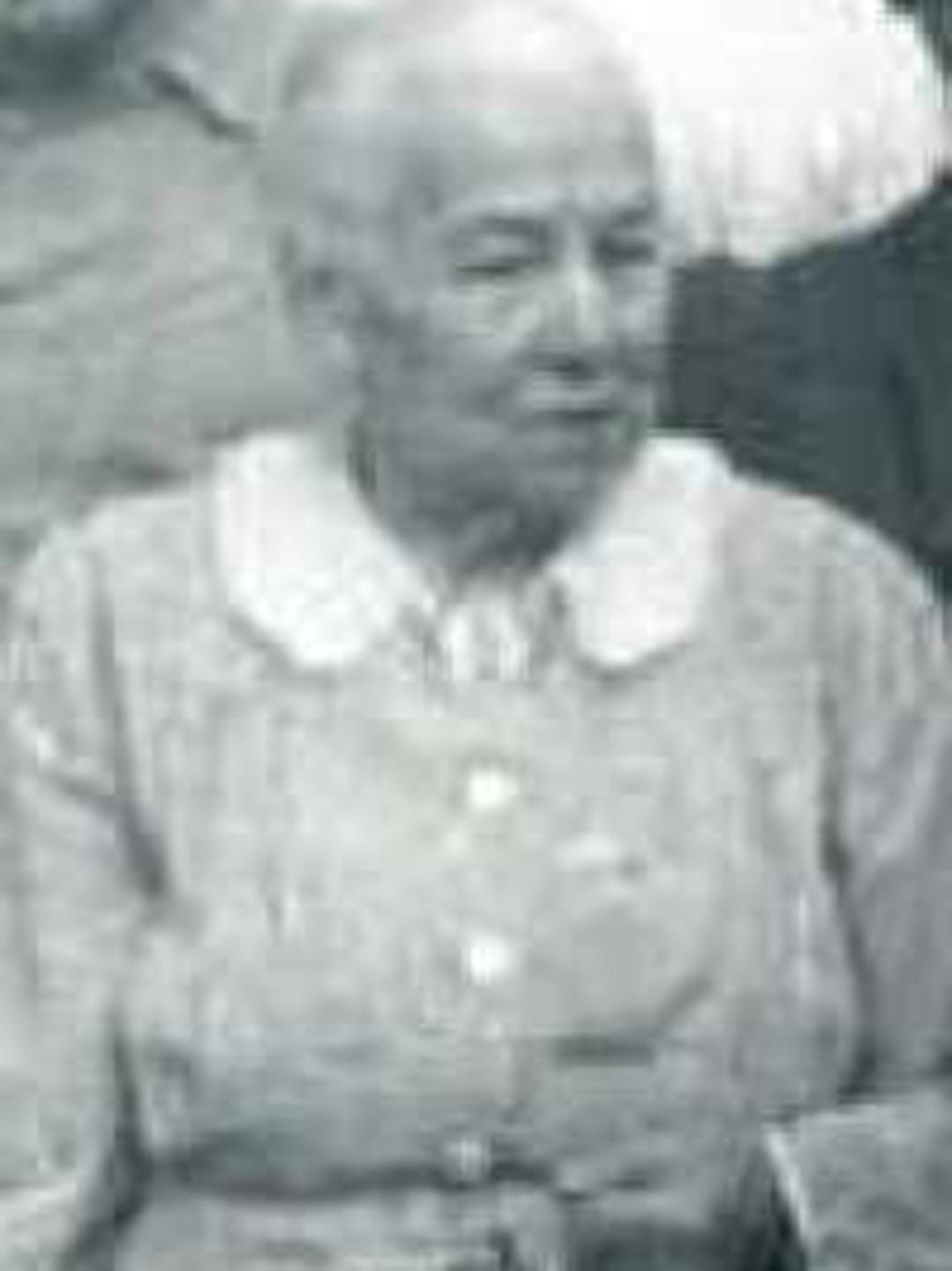 Wilhelmina Petersen (1852 - 1943) Profile